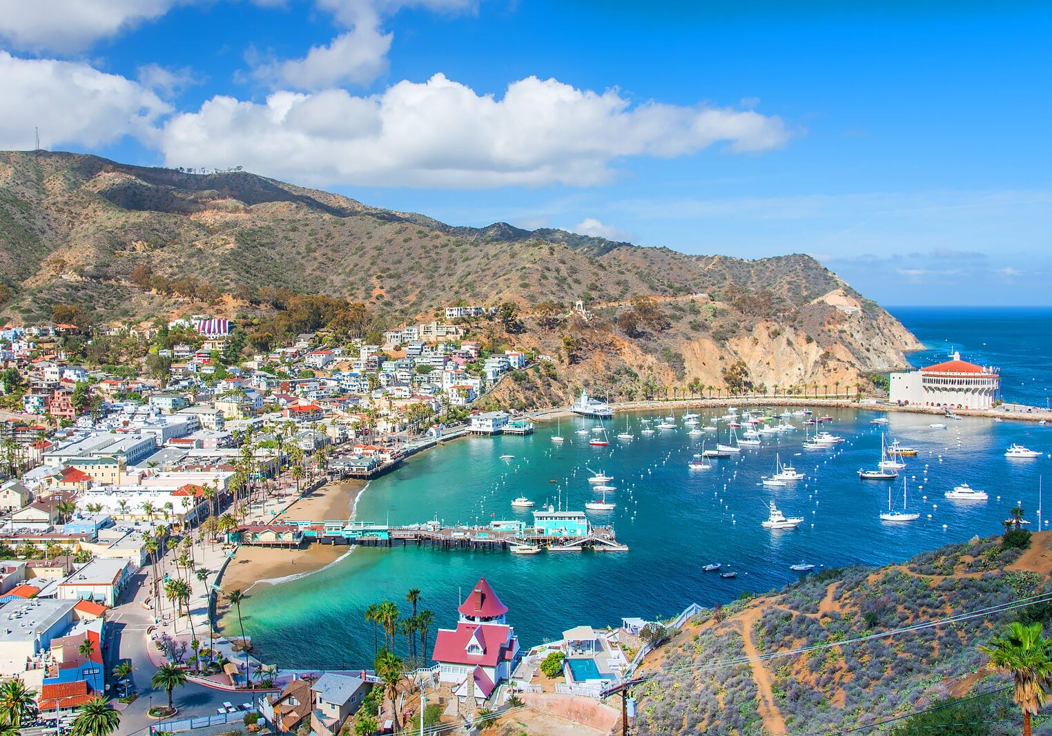 Catalina