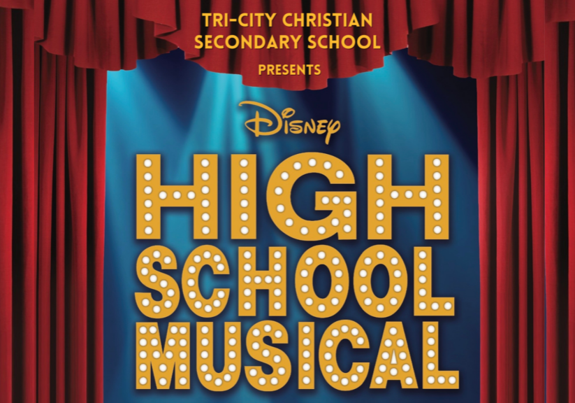 HSM Web Banner (4 x 4 in) (Presentation)